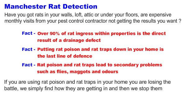 rat in wall manchester